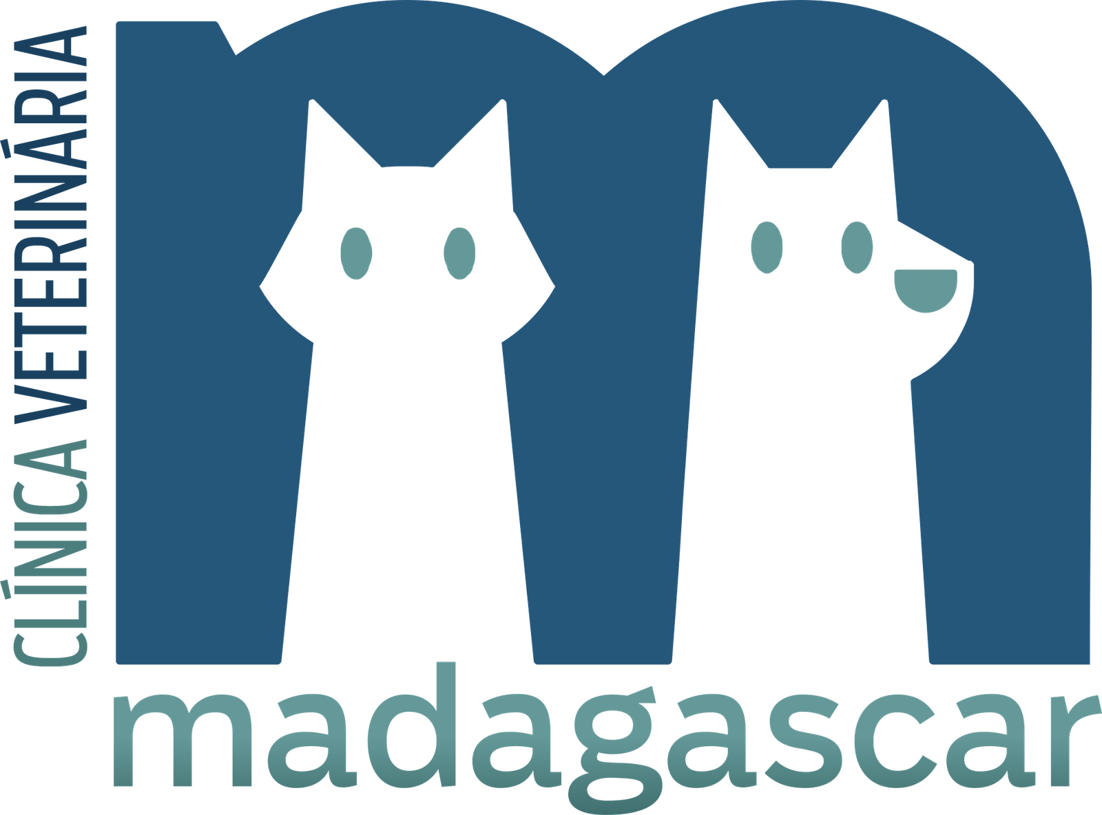 madagascar_clinica_veterinaria